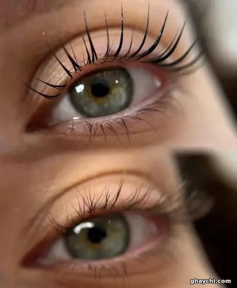 نمونه کار مژه — لیفت مژه زنانه در یزد، یزد — زینب جعفری