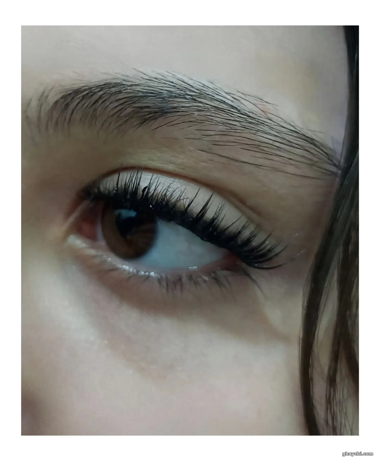 نمونه کار مژه — اکستنشن مژه زنانه در خیابان هاشمی، تهران — عسل بایندر
