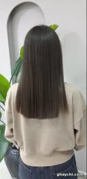 پرستو دلاوری
