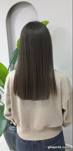 پرستو دلاوری
