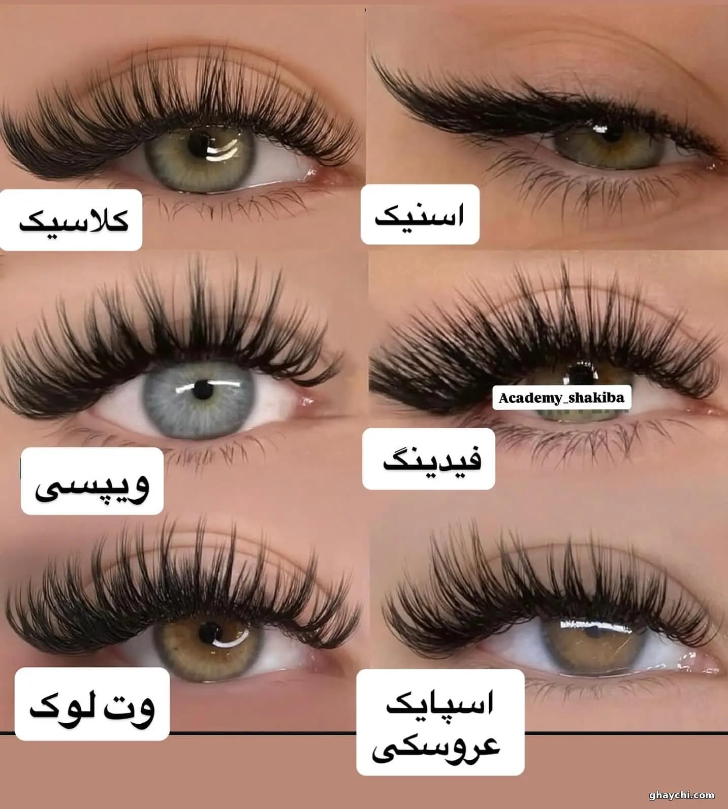 نمونه کار مژه — اکستنشن مژه زنانه در خیابان انقلاب، شیراز — سارا نامی