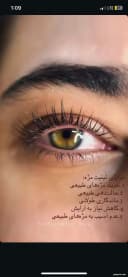 الهه کریمی