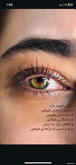 الهه کریمی