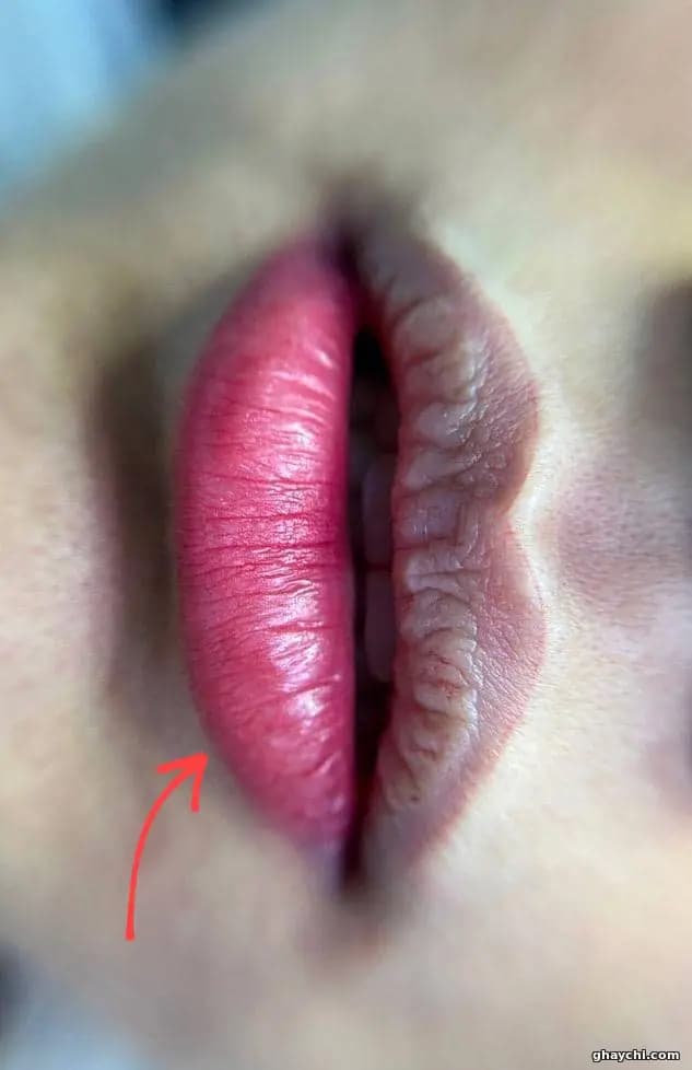 نمونه کار آرایش دائم — آرایش دائم بدن و صورت زنانه در بلوار فردوس، تهران — لیلا نیک نام