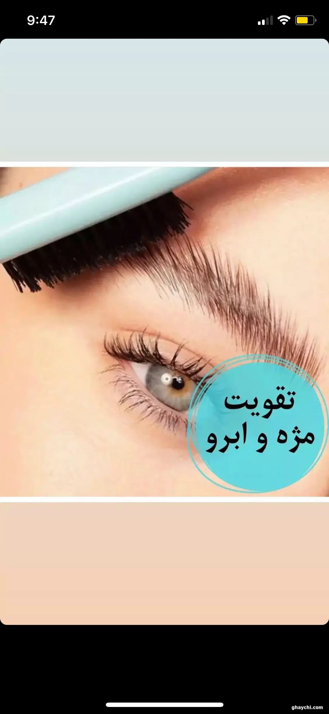 تخفیف تخفیف در خیابان نصرت، تهران — الهه کریمی