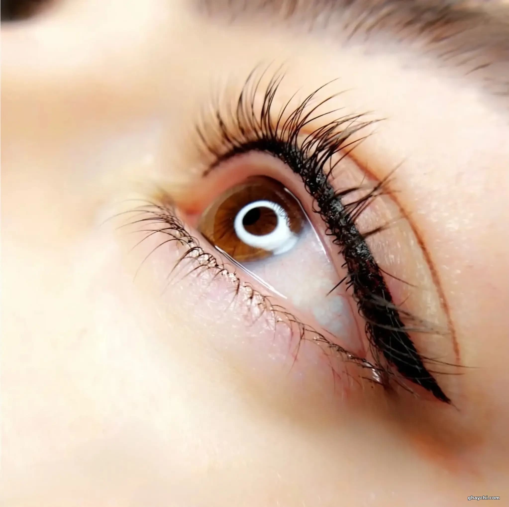 نمونه کار آرایش دائم — خط چشم دائم زنانه در یزد — فرزانه عارف