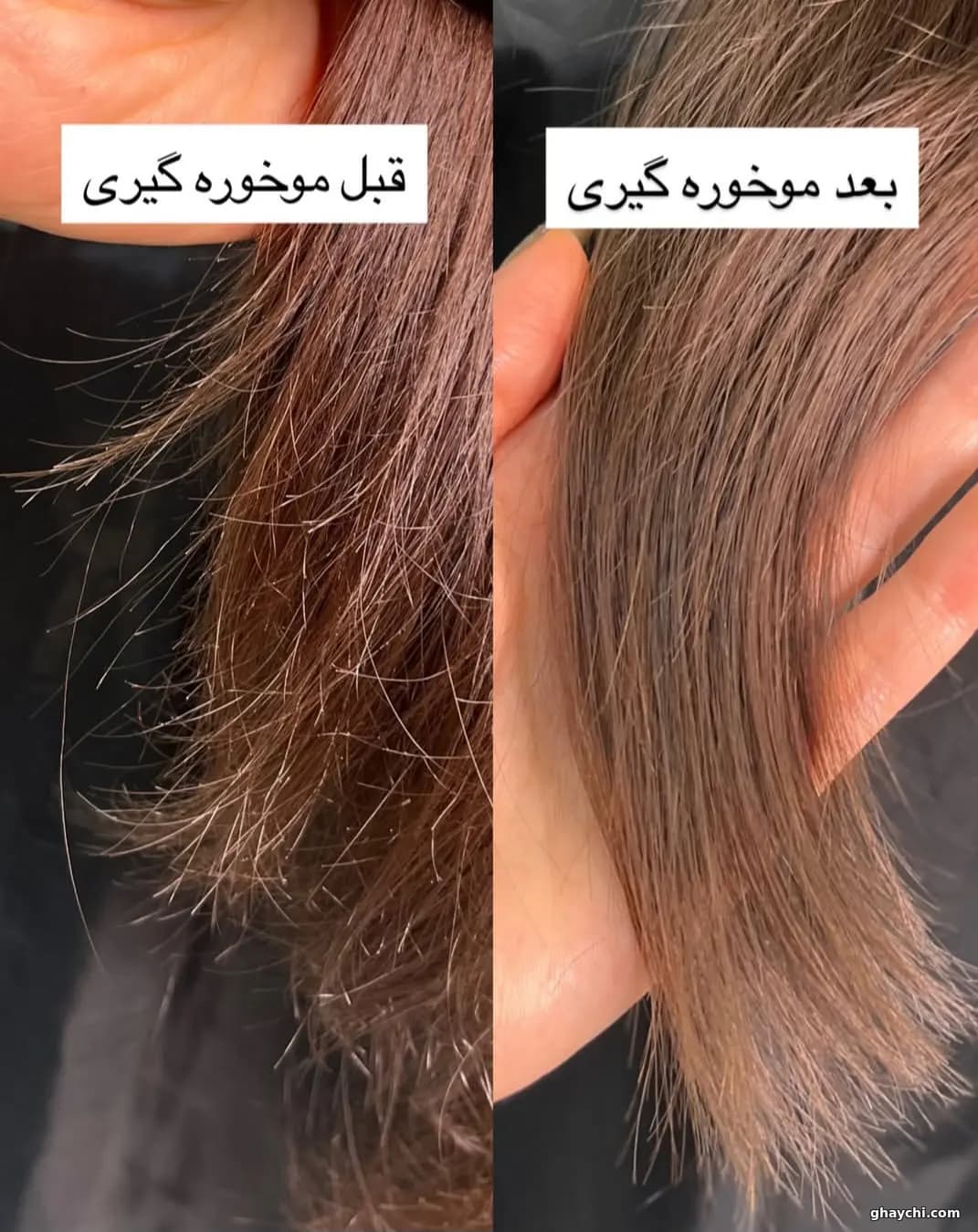 نمونه کار مو — بوتاکس و احیا مو زنانه در رشت، رشت — سمانه حیدری
