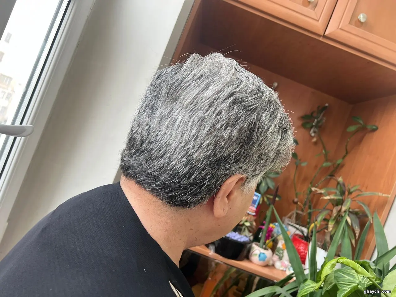 نمونه کار مو — کوتاهی و کپ مو زنانه تهمینه سعیدی