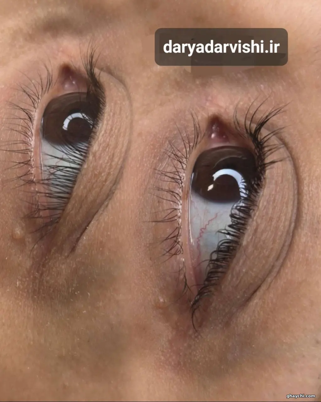 نمونه کار مژه — اکستنشن مژه زنانه در امیر آباد، تهران — سالن دریا درویشی