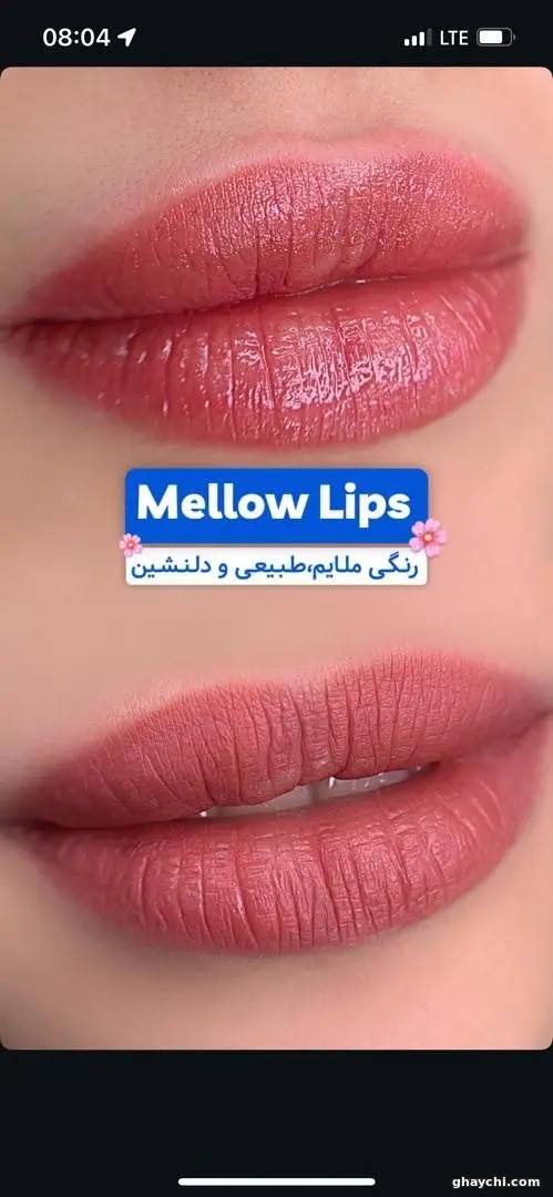 نمونه کار آرایش دائم — شیدینگ لب زنانه در امیر آباد، تهران — سالن دریا درویشی