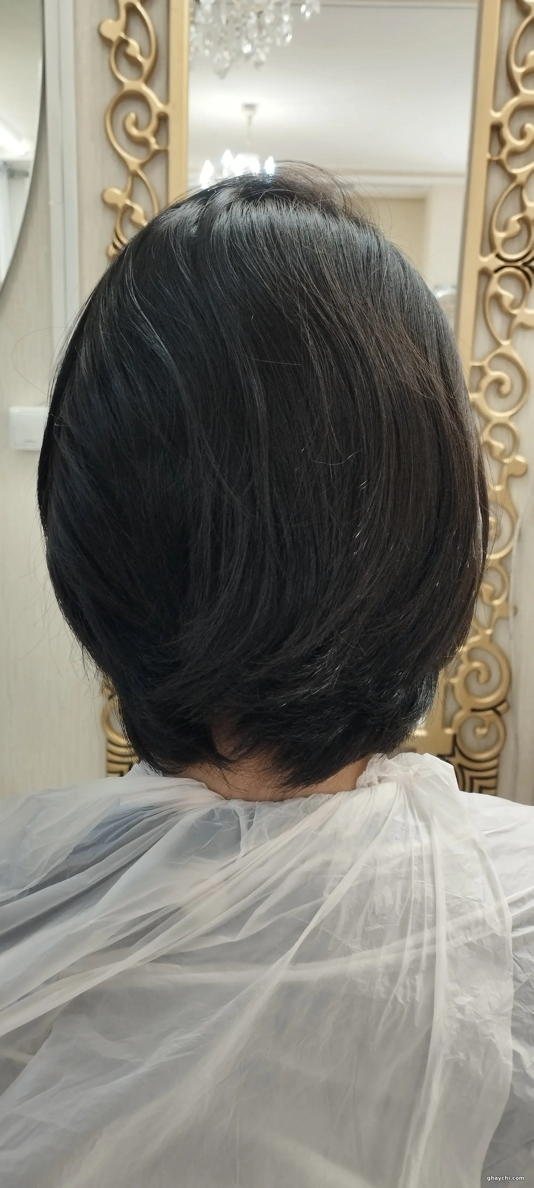 قبل مو — کوتاهی و کپ مو در تبریز، تبریز — فاطمه تبریزی
