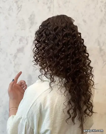 نمونه کار مو — شینیون و کرلی زنانه در قم، قم — نازنین زهرا شعبان