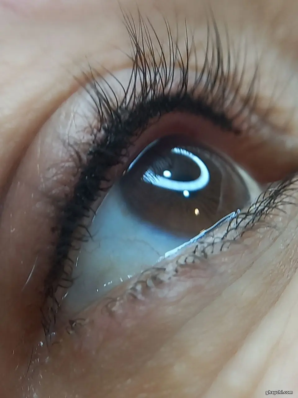 نمونه کار آرایش دائم — بن مژه زنانه در خانه اصفهان، اصفهان — مریم امیری