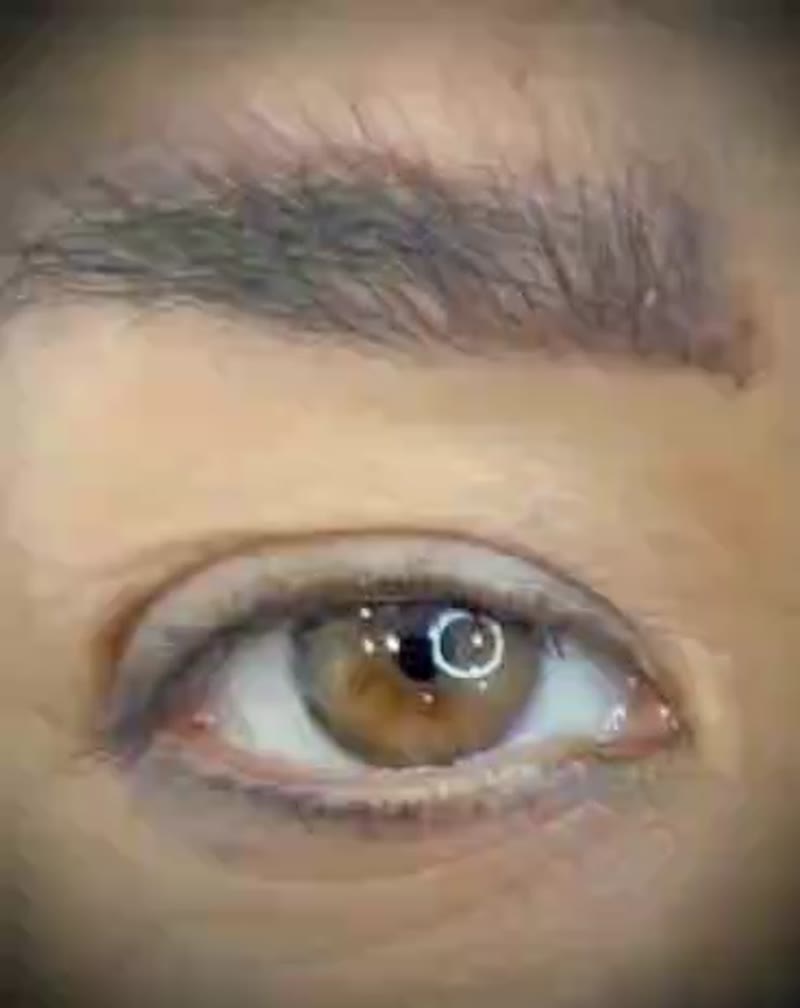 نمونه کار مژه — اکستنشن مژه ویدئو زنانه در استاد حسن بنا، تهران — شهره کریمی