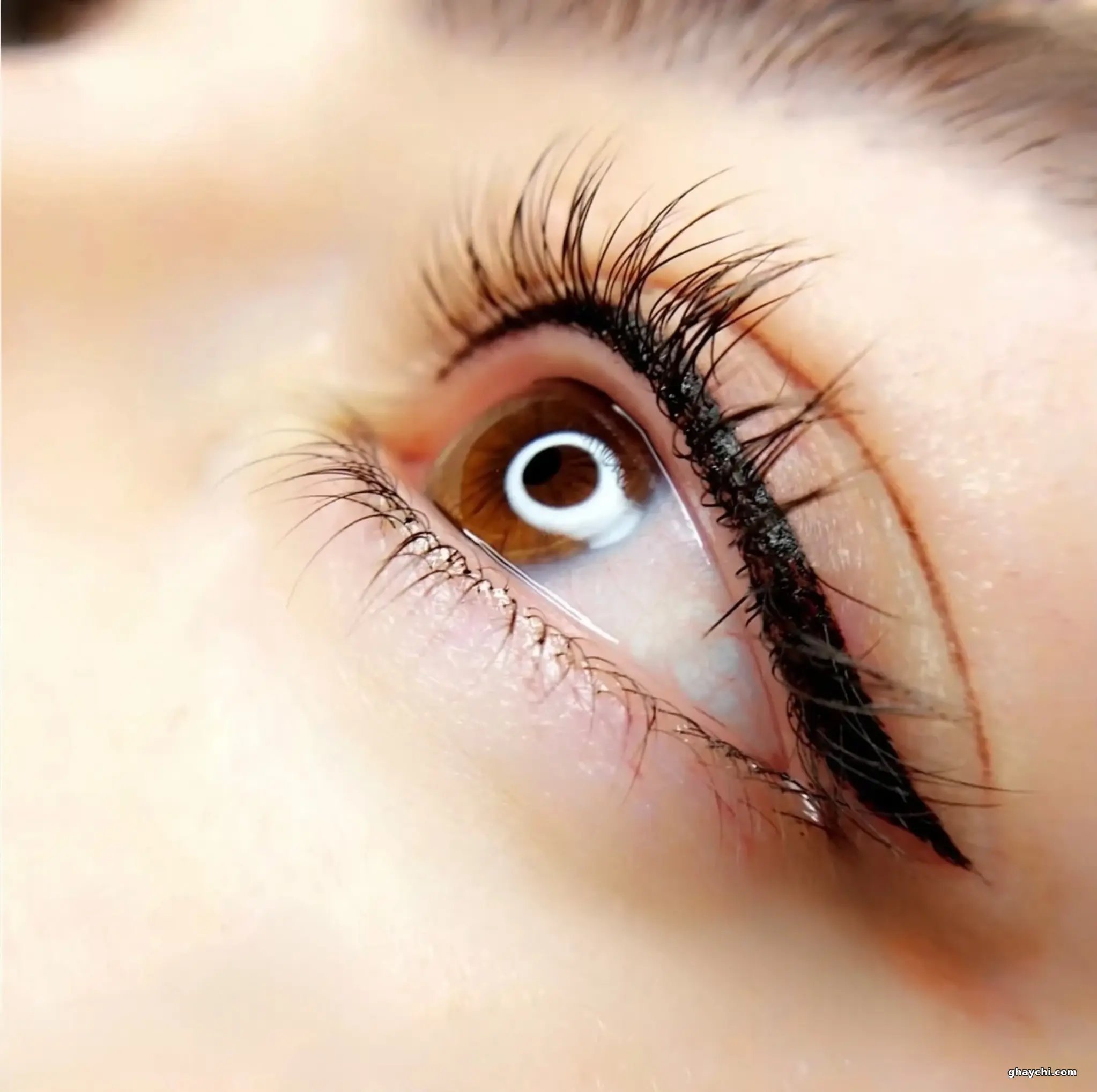 نمونه کار آرایش دائم — خط چشم دائم زنانه در یزد — فرزانه عارف